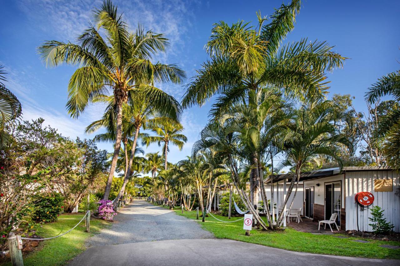 Bush Village Holiday Cabins Airlie Beach Exteriör bild