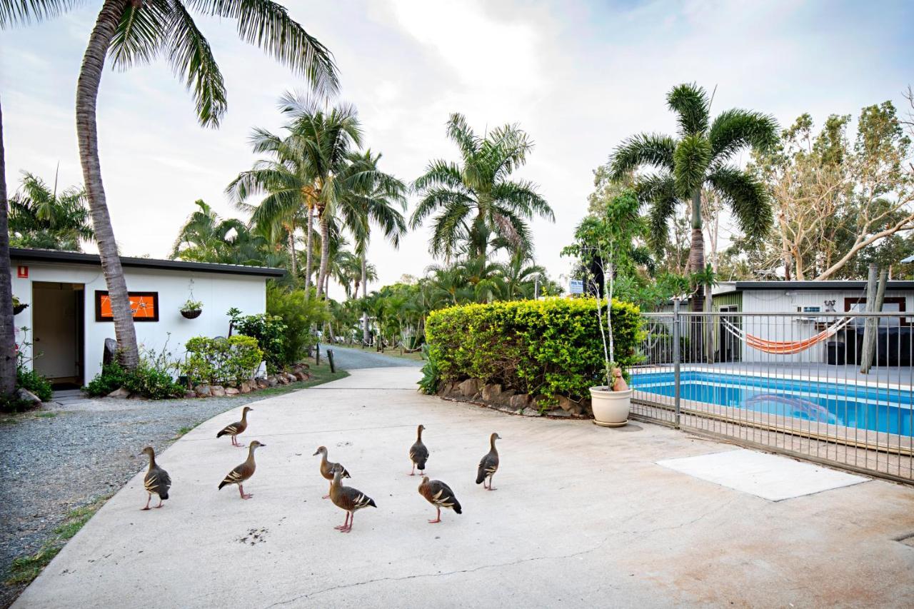 Bush Village Holiday Cabins Airlie Beach Exteriör bild