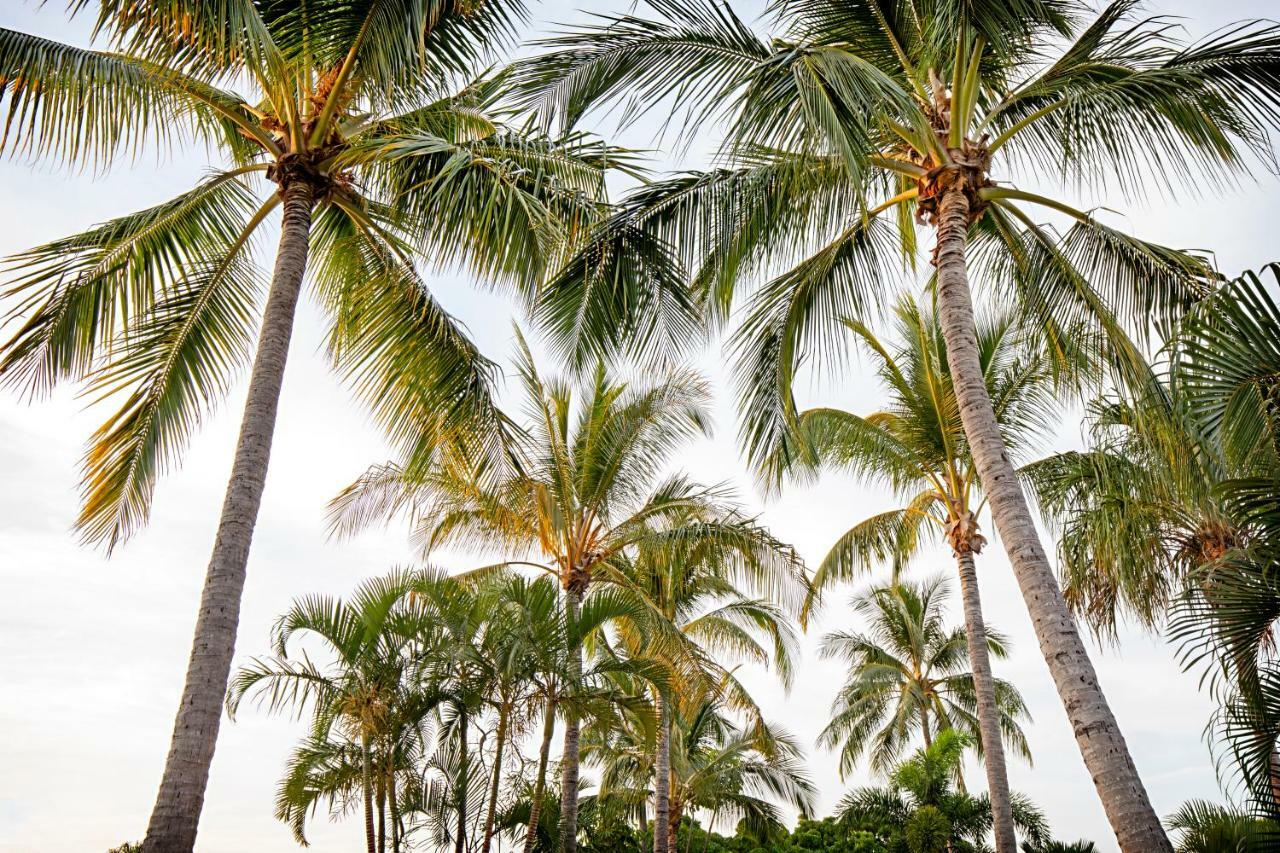 Bush Village Holiday Cabins Airlie Beach Exteriör bild